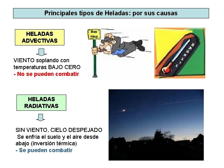 Principales tipos de Heladas: por sus causas HELADAS ADVECTIVAS VIENTO soplando con temperaturas BAJO