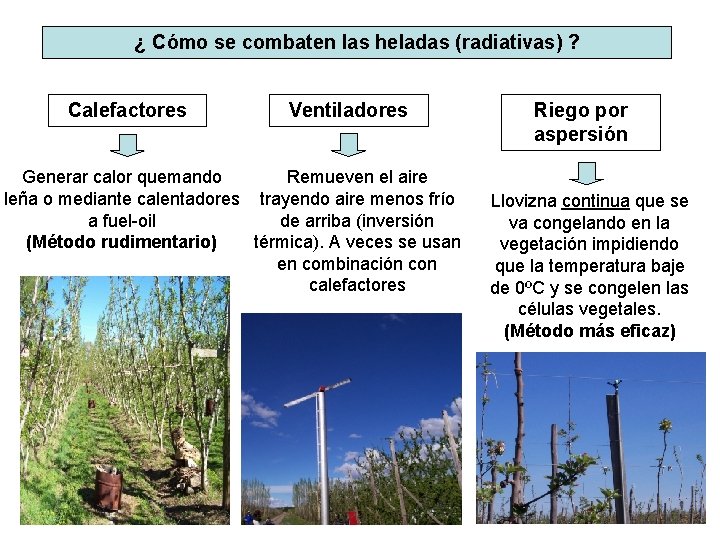 ¿ Cómo se combaten las heladas (radiativas) ? Calefactores Ventiladores Generar calor quemando Remueven