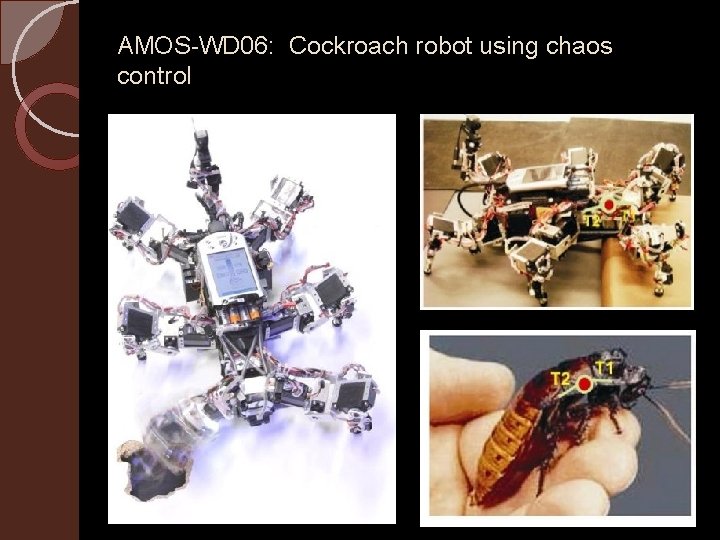 AMOS-WD 06: Cockroach robot using chaos control 
