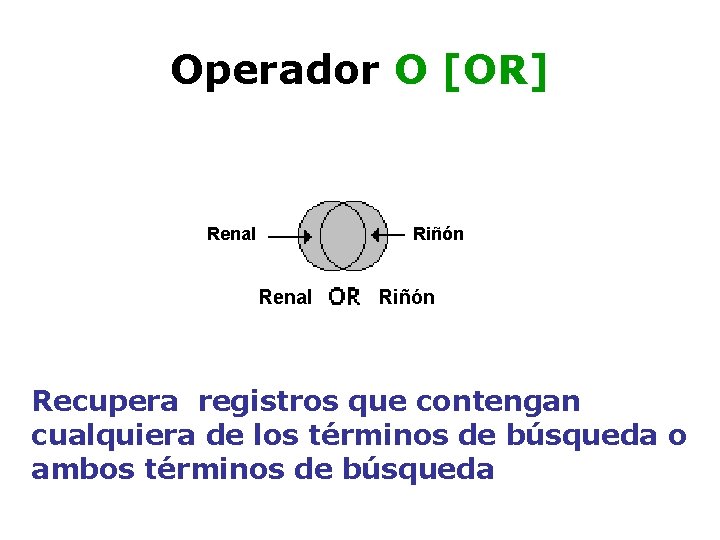 Operador O [OR] Renal Riñón Recupera registros que contengan cualquiera de los términos de