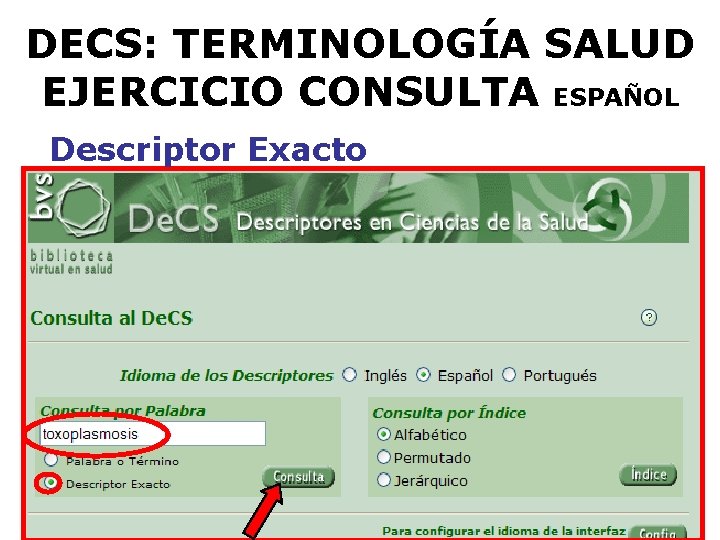 DECS: TERMINOLOGÍA SALUD EJERCICIO CONSULTA ESPAÑOL Descriptor Exacto 