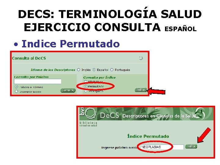 DECS: TERMINOLOGÍA SALUD EJERCICIO CONSULTA ESPAÑOL • Indice Permutado 