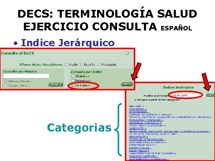 DECS: TERMINOLOGÍA SALUD EJERCICIO CONSULTA ESPAÑOL • Indice Jerárquico Categorias 