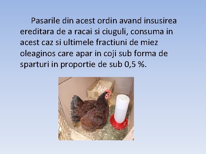 Pasarile din acest ordin avand insusirea ereditara de a racai si ciuguli, consuma in