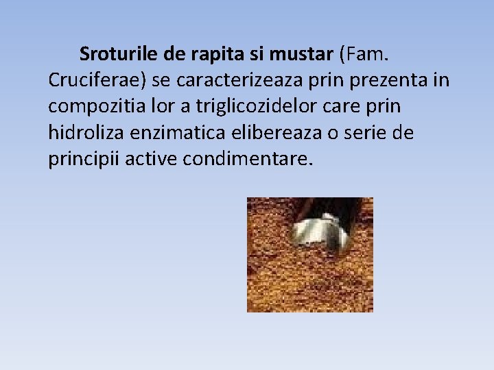 Sroturile de rapita si mustar (Fam. Cruciferae) se caracterizeaza prin prezenta in compozitia lor