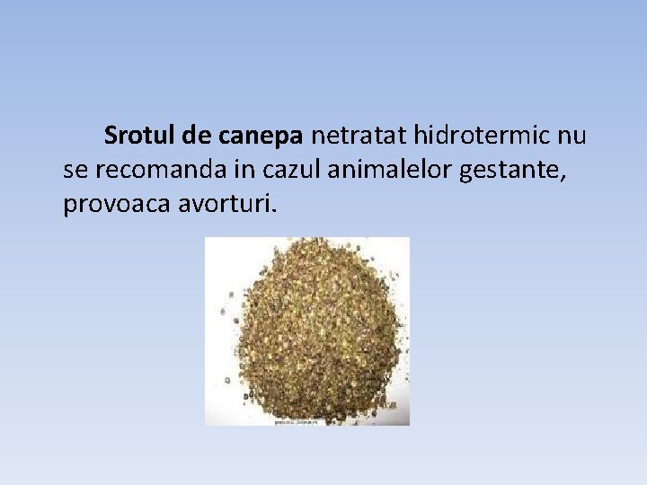 Srotul de canepa netratat hidrotermic nu se recomanda in cazul animalelor gestante, provoaca avorturi.