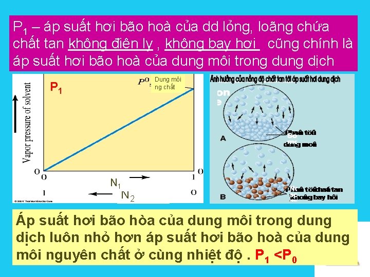 P 1 – áp suất hơi bão hoà của dd lỏng, loãng chứa chất