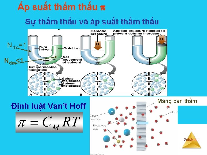 Áp suất thẩm thấu Sự thẩm thấu và áp suất thẩm thấu Ndm=1 Ndm<1