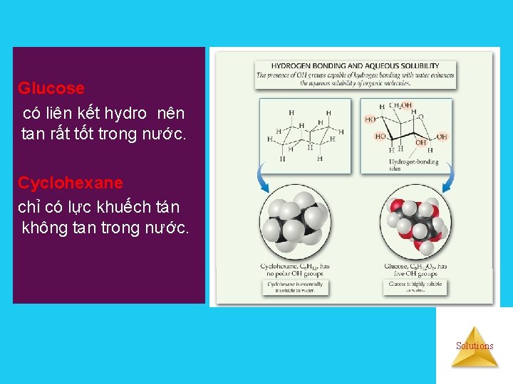 Glucose có liên kết hydro nên tan rất tốt trong nước. Cyclohexane chỉ có