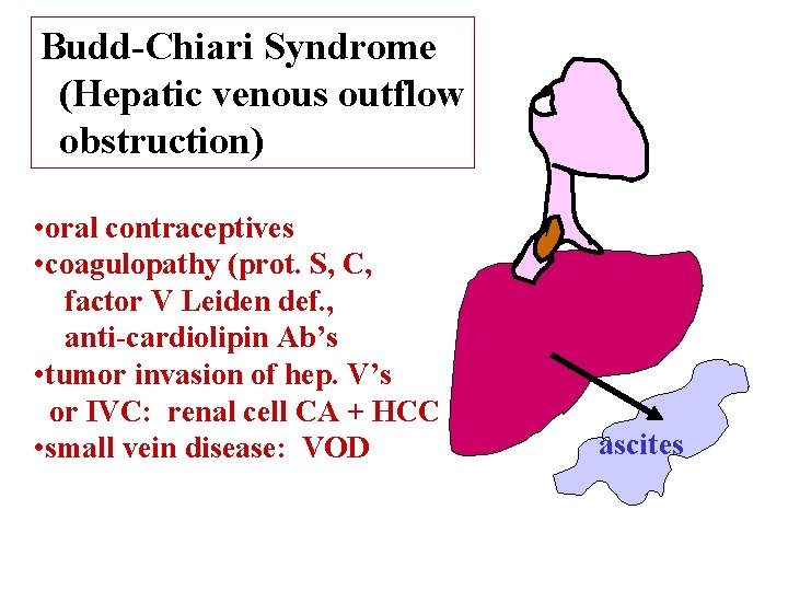 Budd-Chiari Syndrome (Hepatic venous outflow obstruction) • oral contraceptives • coagulopathy (prot. S, C,