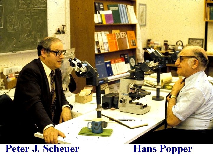 Peter J. Scheuer Hans Popper 