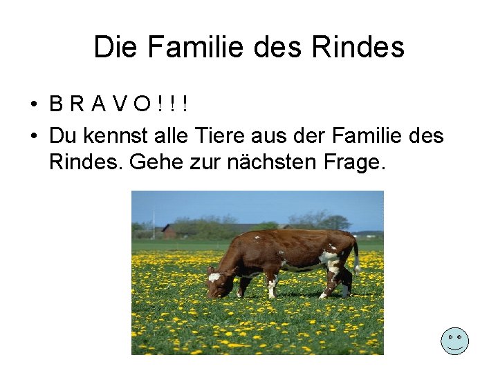 Die Familie des Rindes • BRAVO!!! • Du kennst alle Tiere aus der Familie