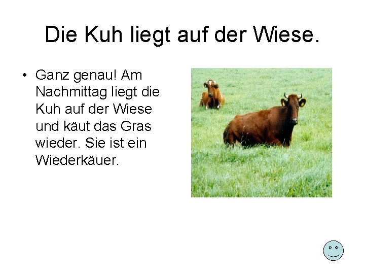 Die Kuh liegt auf der Wiese. • Ganz genau! Am Nachmittag liegt die Kuh