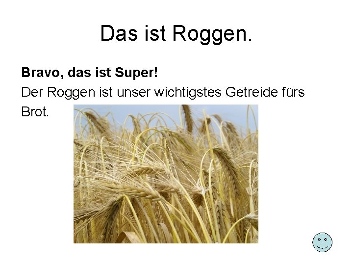 Das ist Roggen. Bravo, das ist Super! Der Roggen ist unser wichtigstes Getreide fürs