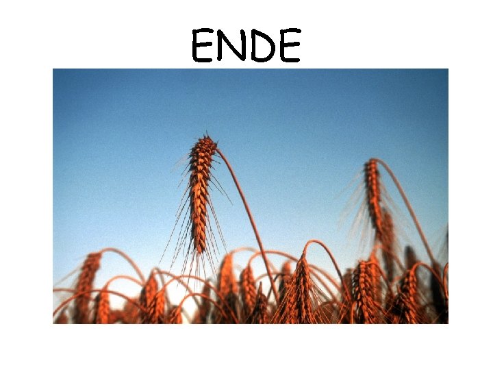 ENDE 