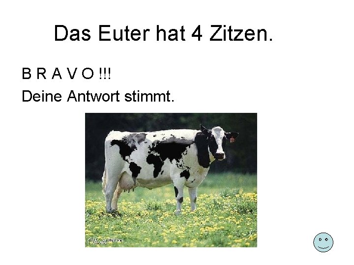 Das Euter hat 4 Zitzen. B R A V O !!! Deine Antwort stimmt.