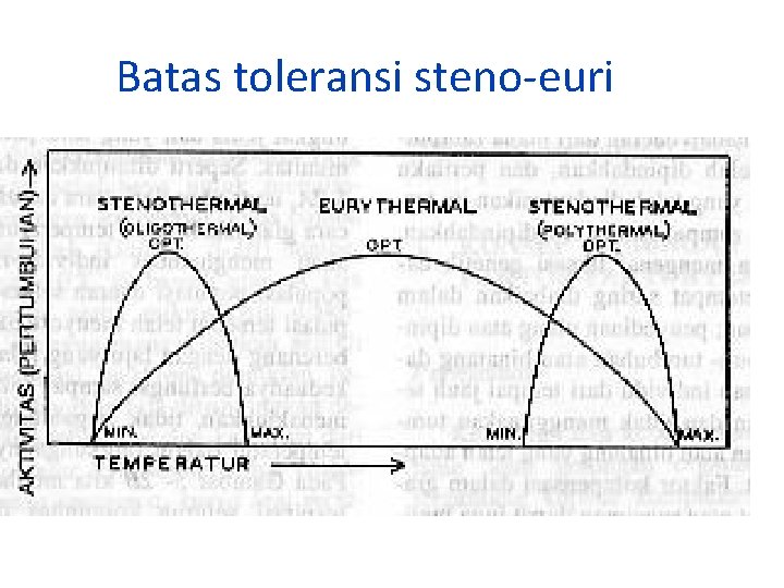 Batas toleransi steno-euri 