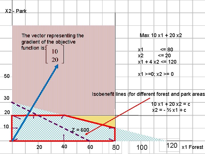 X 2 - Park Max 10 x 1 + 20 x 2 The vector