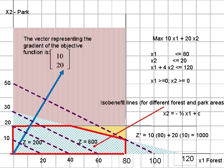 X 2 - Park Max 10 x 1 + 20 x 2 The vector