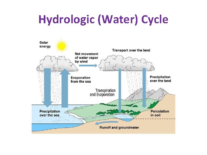 Hydrologic (Water) Cycle 
