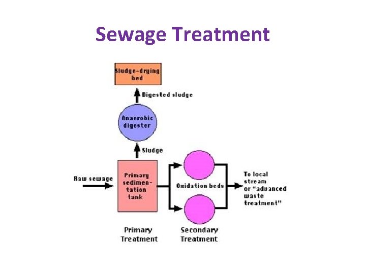Sewage Treatment 