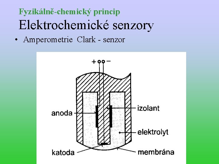 Fyzikálně-chemický princip Elektrochemické senzory • Amperometrie Clark - senzor 