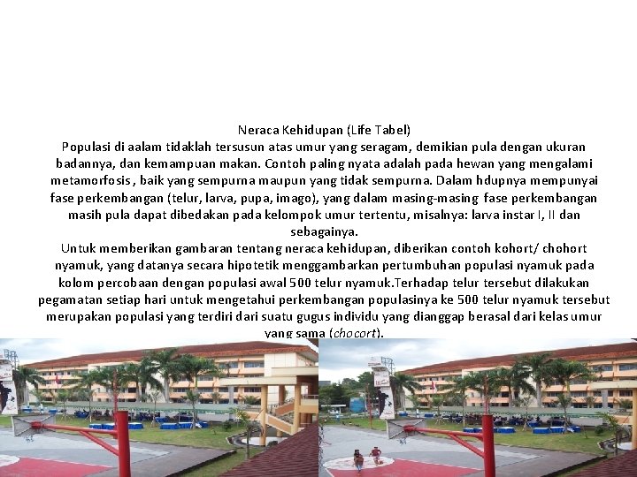 Neraca Kehidupan (Life Tabel) Populasi di aalam tidaklah tersusun atas umur yang seragam, demikian