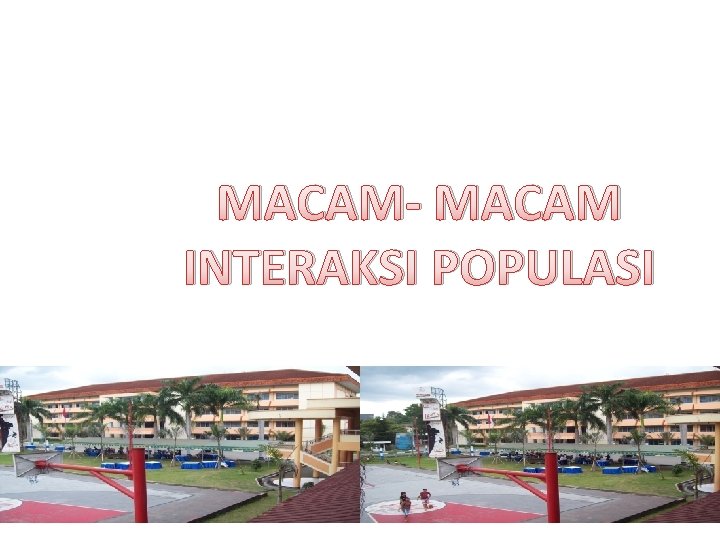 MACAM- MACAM INTERAKSI POPULASI 