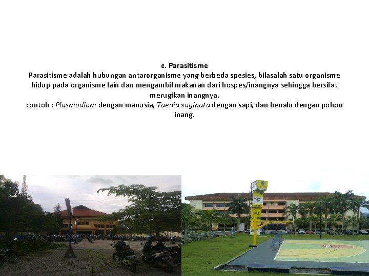 c. Parasitisme adalah hubungan antarorganisme yang berbeda spesies, bilasalah satu organisme hidup pada organisme