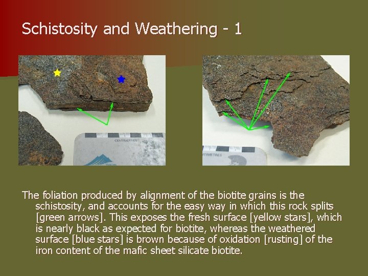 Schistosity and Weathering - 1 The foliation produced by alignment of the biotite grains