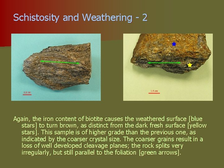 Schistosity and Weathering - 2 Again, the iron content of biotite causes the weathered