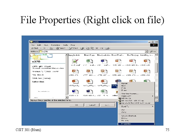 File Properties (Right click on file) CSIT 301 (Blum) 75 