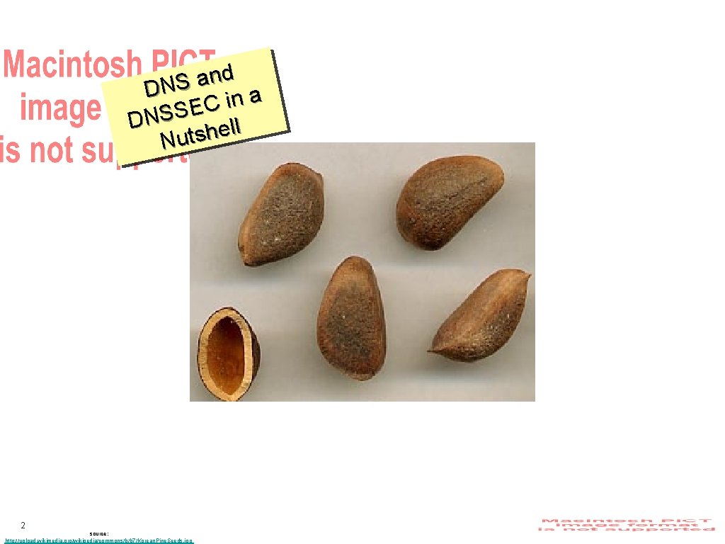 d n a DNS a n i C E S S DN ll e