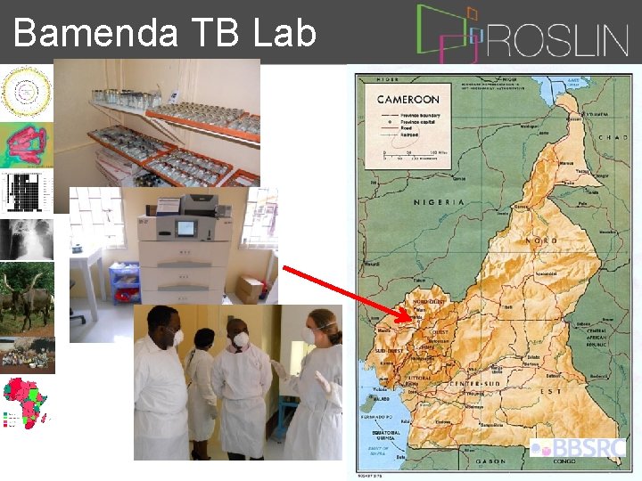Bamenda TB Lab 