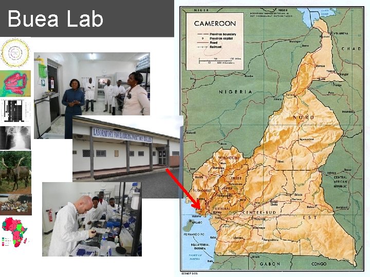 Buea Lab 