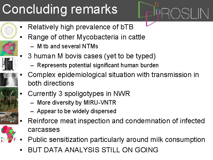 Concluding remarks • Relatively high prevalence of b. TB • Range of other Mycobacteria