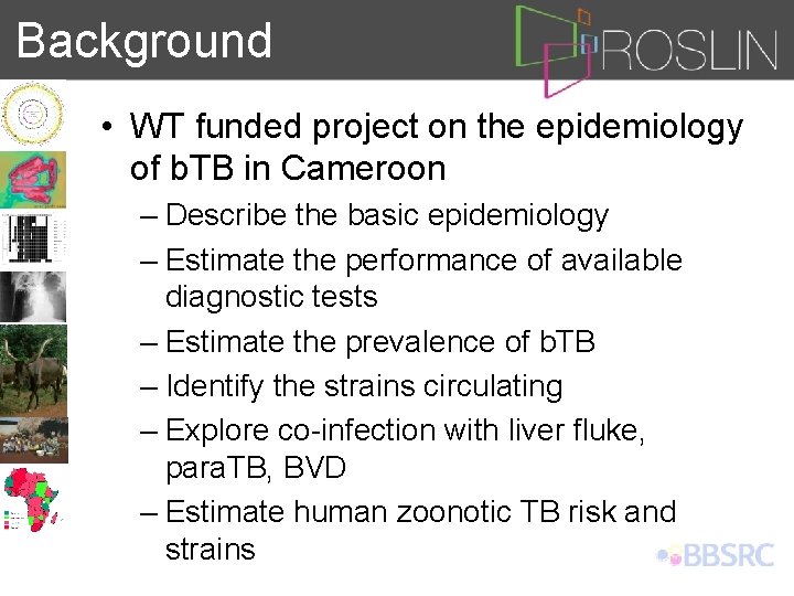 Background • WT funded project on the epidemiology of b. TB in Cameroon –