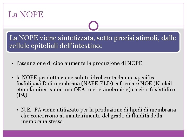 La NOPE viene sintetizzata, sotto precisi stimoli, dalle cellule epiteliali dell’intestino: • l’assunzione di