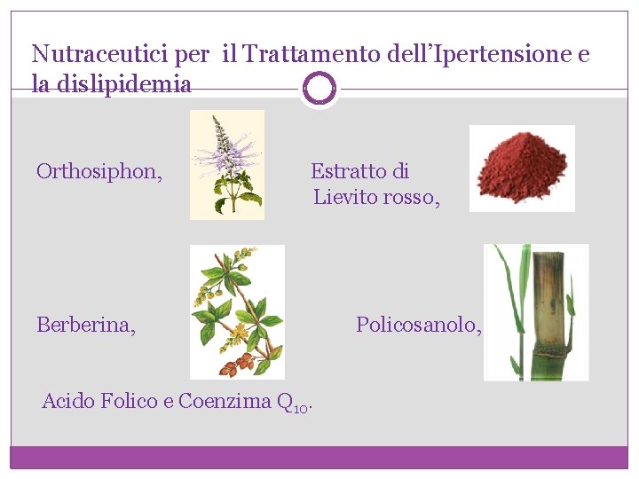 Nutraceutici per il Trattamento dell’Ipertensione e la dislipidemia Orthosiphon, Estratto di Lievito rosso, Berberina,