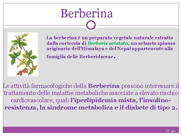 Berberina La berberina è un preparato vegetale naturale estratto dalla corteccia di Berberis aristata,