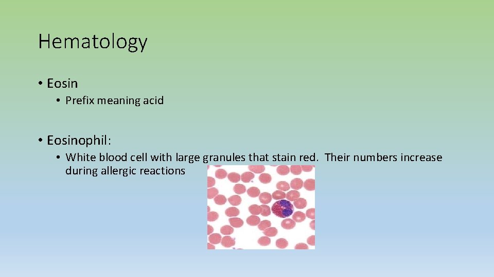 Hematology • Eosin • Prefix meaning acid • Eosinophil: • White blood cell with