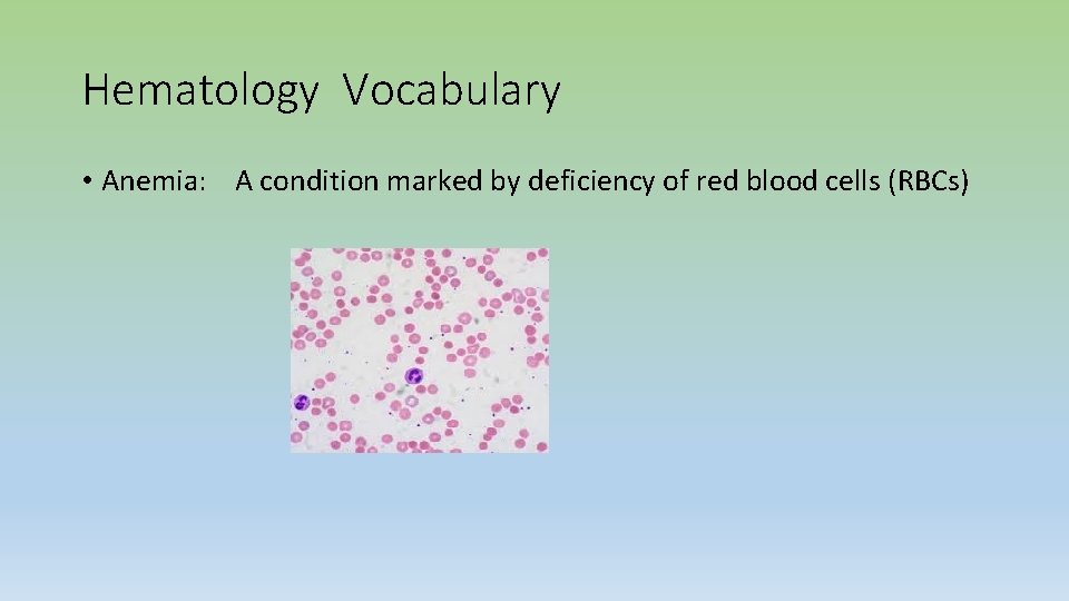 Hematology Vocabulary • Anemia: A condition marked by deficiency of red blood cells (RBCs)