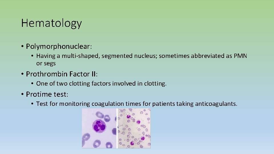 Hematology • Polymorphonuclear: • Having a multi-shaped, segmented nucleus; sometimes abbreviated as PMN or