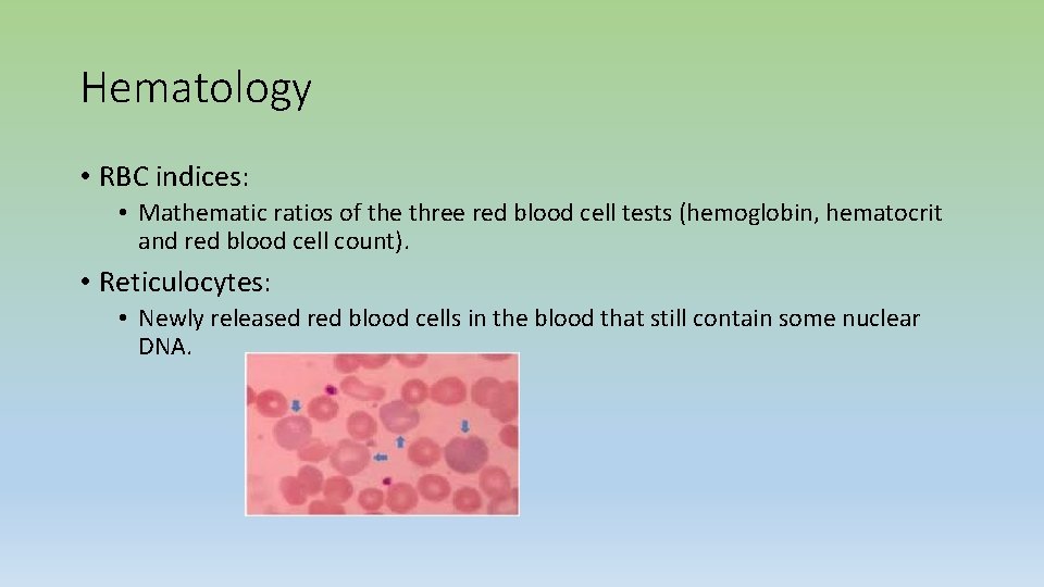 Hematology • RBC indices: • Mathematic ratios of the three red blood cell tests