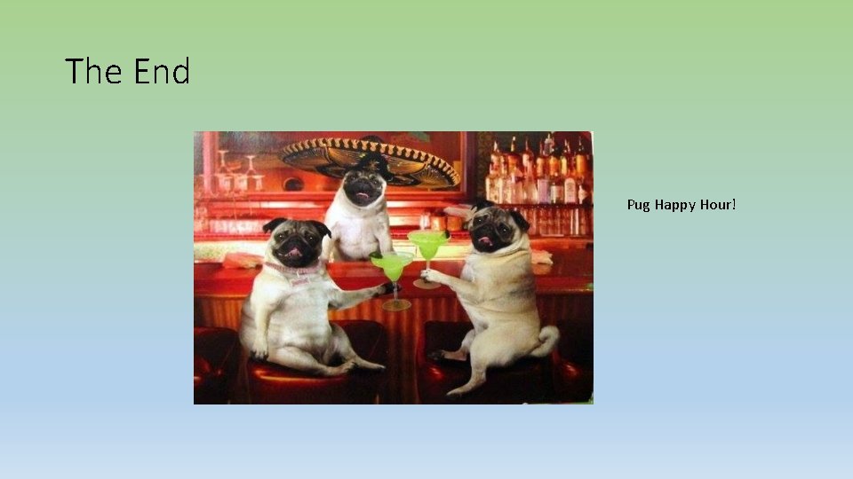 The End Pug Happy Hour! 