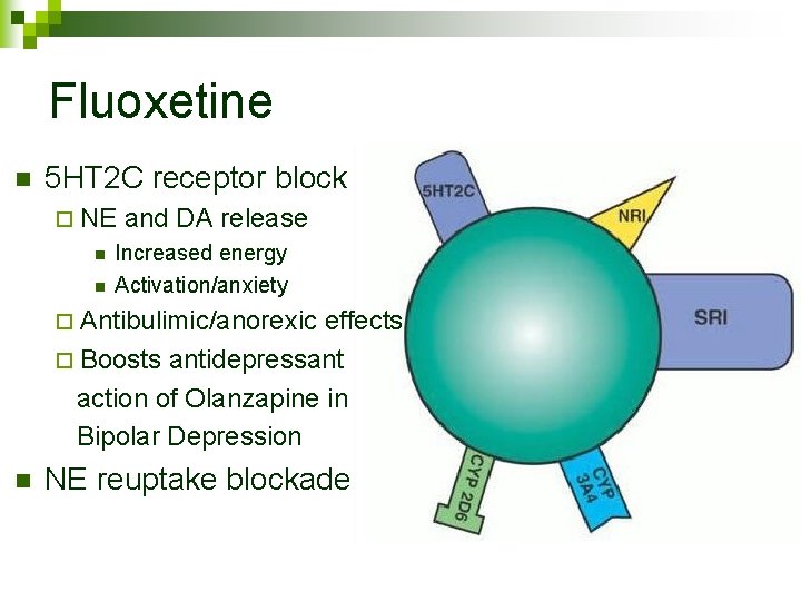 Fluoxetine n 5 HT 2 C receptor block ¨ NE n n and DA