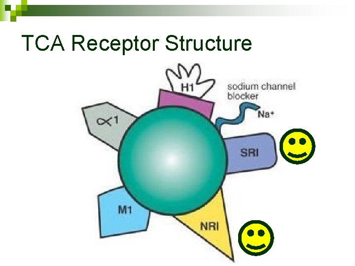 TCA Receptor Structure 