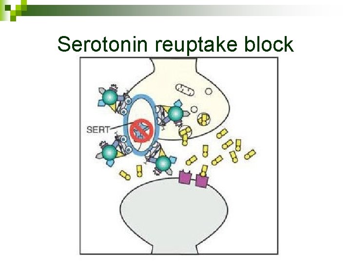 Serotonin reuptake block 