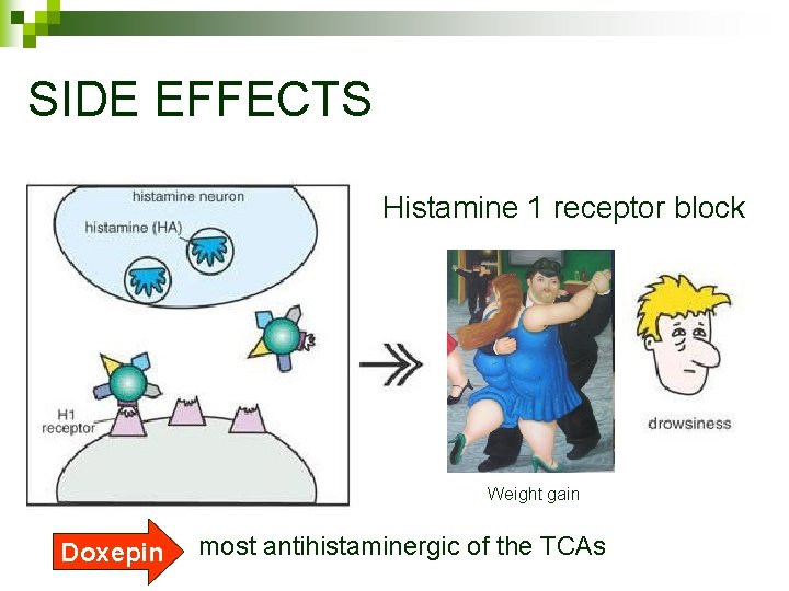 SIDE EFFECTS Histamine 1 receptor block Weight gain Doxepin most antihistaminergic of the TCAs