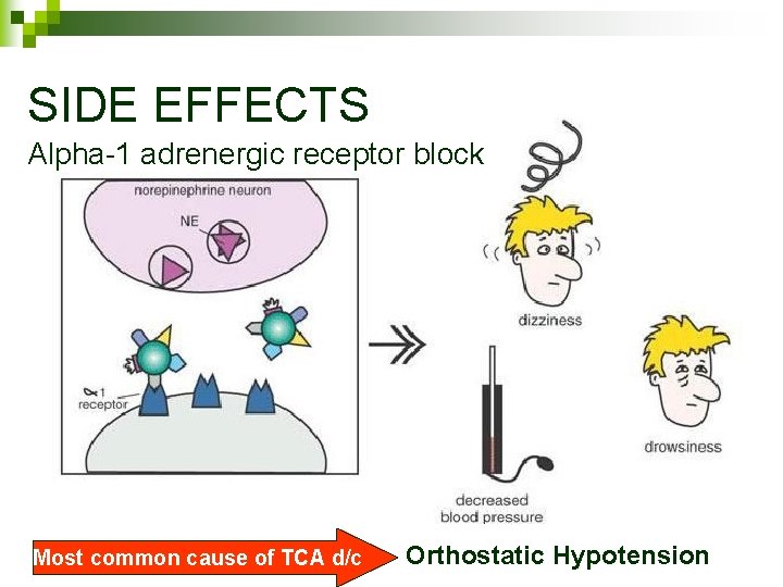 SIDE EFFECTS Alpha-1 adrenergic receptor block Most common cause of TCA d/c Orthostatic Hypotension